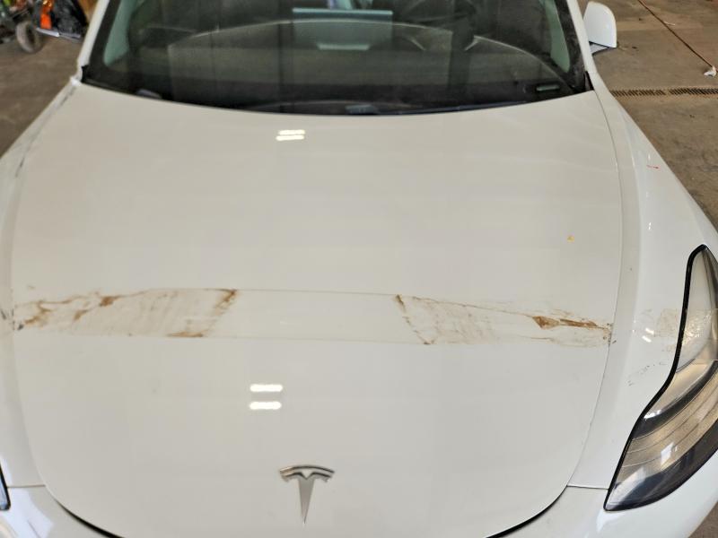 Продажа на аукционе авто 2020 Tesla Model 3, vin: 5YJ3E1EA8LF612488, номер лота: 49779216