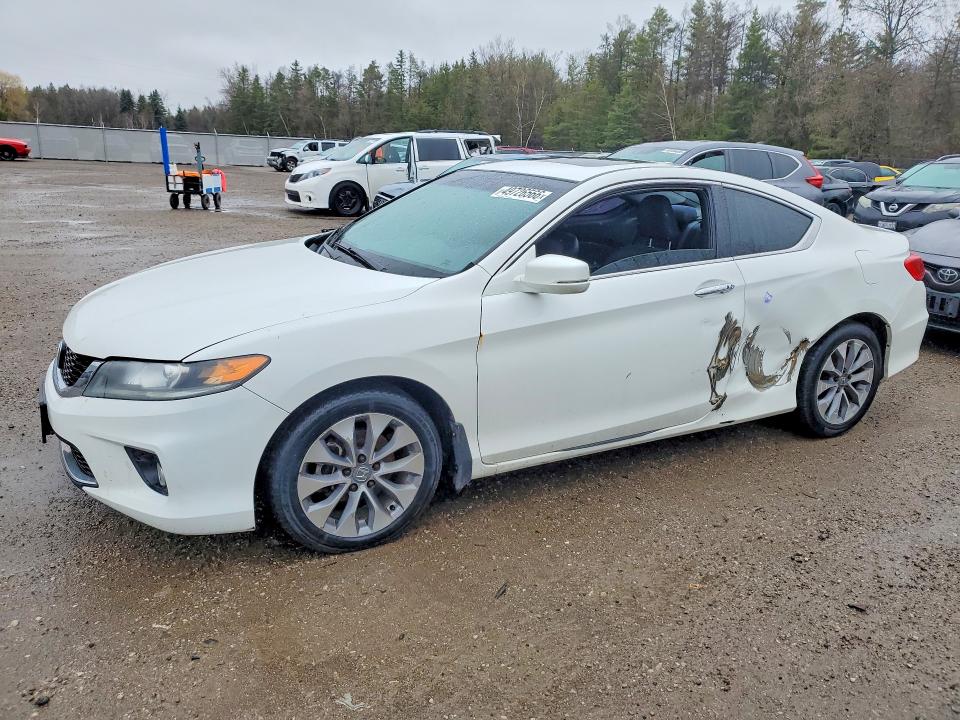 2013 Honda Accord მანქანა იყიდება აუქციონზე, vin: 1HGCT1B78DA800230, აუქციონის ნომერი: 49726566