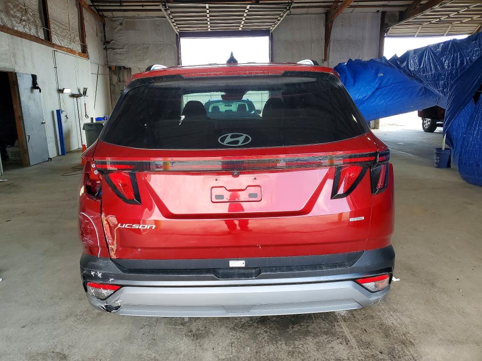 Продажа на аукционе авто 2025 Hyundai Tucson, vin: 5NMJC3DE1SH520312, номер лота: 49154976