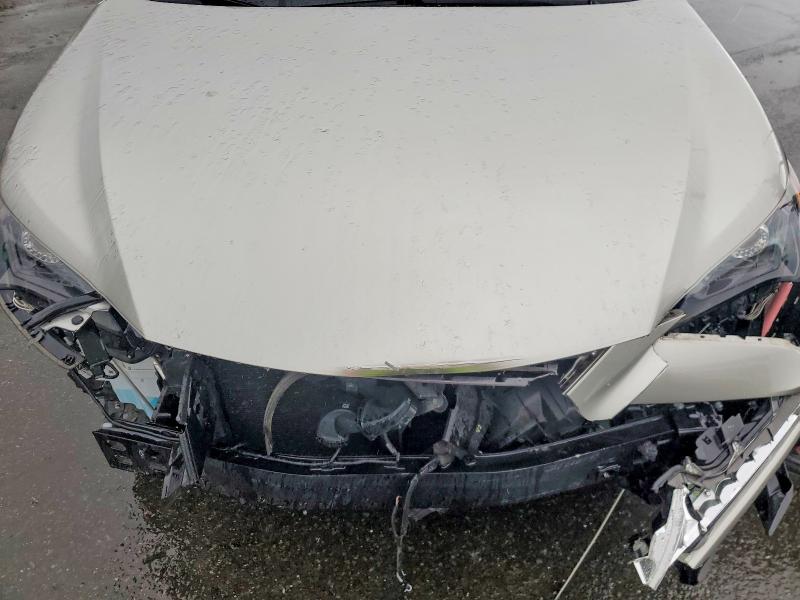 48143256 :رقم المزاد ، JTJBARBZ8K2182248 vin ، 2019 Lexus Nx 300 مزاد بيع