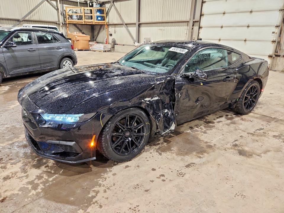 Продажа на аукционе авто 2024 Ford Mustang, vin: 1FA6P8TH5R5104074, номер лота: 49307686