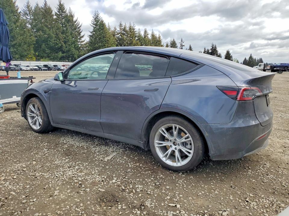 Продажа на аукционе авто 2023 Tesla Model Y, vin: 7SAYGDEE8PF964175, номер лота: 51131636