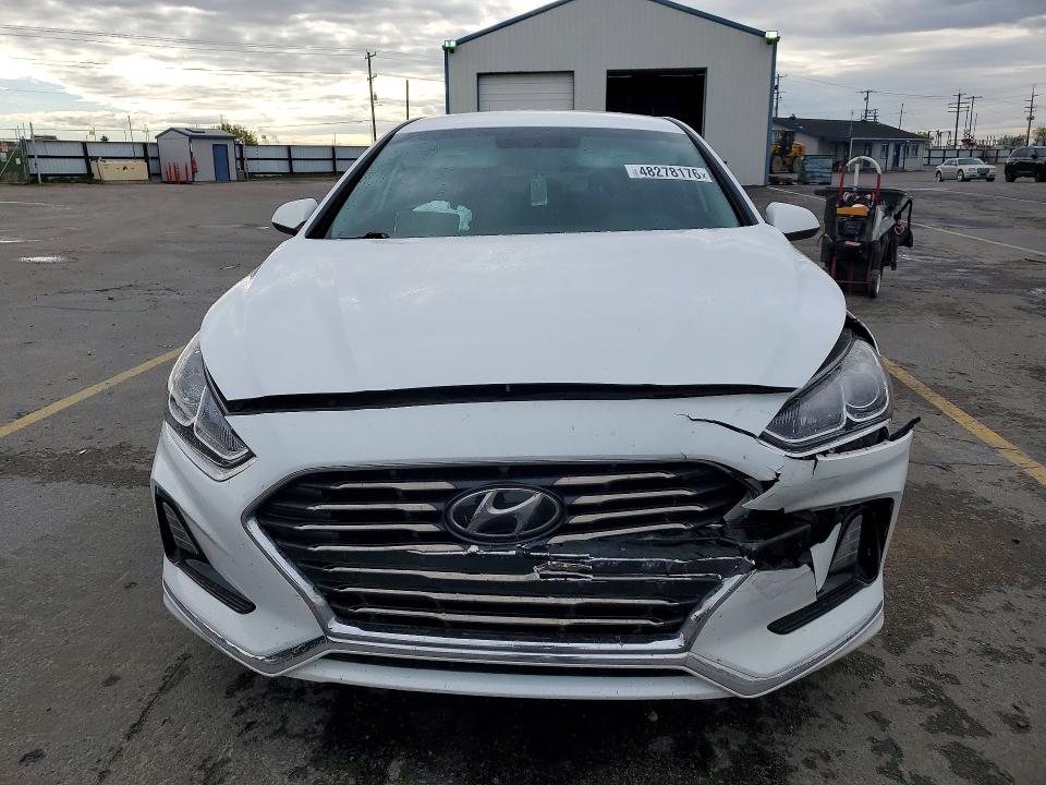 Продаж на аукціоні авто 2019 Hyundai Sonata, vin: 5NPE24AF6KH777430, номер лоту: 48278176