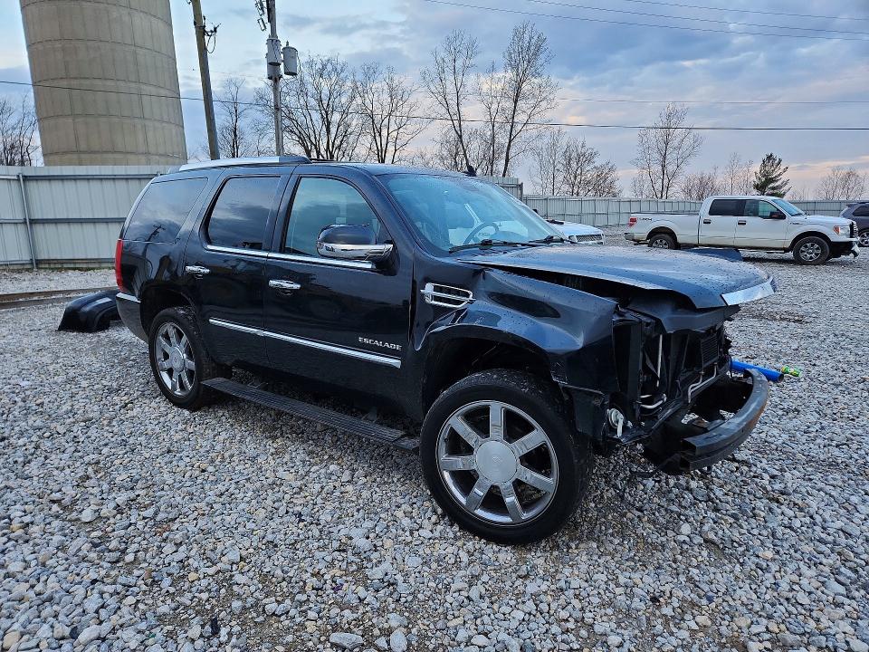 Продаж на аукціоні авто 2010 Cadillac Escalade, vin: 1GYUKCEF4AR194436, номер лоту: 49485956