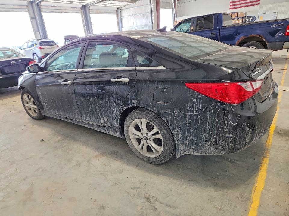 Продаж на аукціоні авто 2011 Hyundai Sonata, vin: 5NPEC4AC4BH120614, номер лоту: 51814046