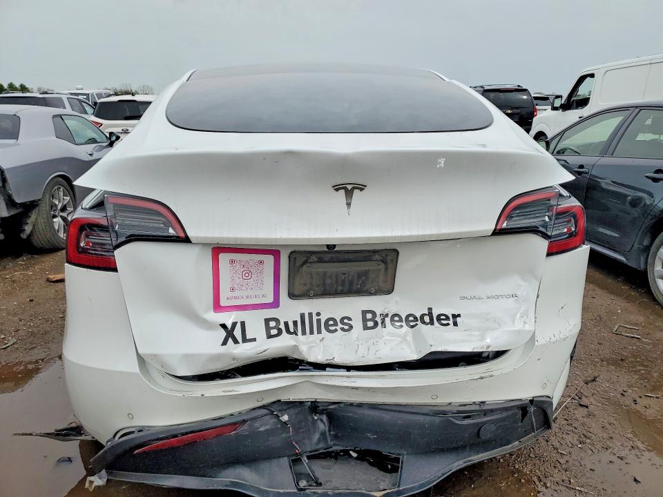 Продаж на аукціоні авто 2022 Tesla Model Y, vin: 7SAYGDEE8NA012920, номер лоту: 51151546