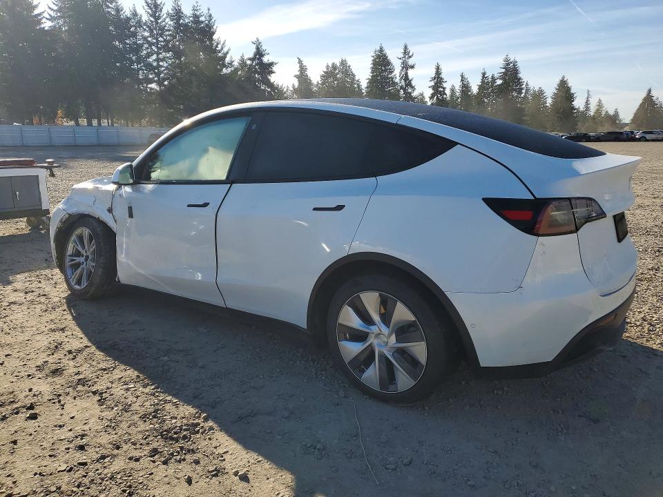 48691456 :رقم المزاد ، 5YJYGDEE1MF242829 vin ، 2021 Tesla Model Y مزاد بيع