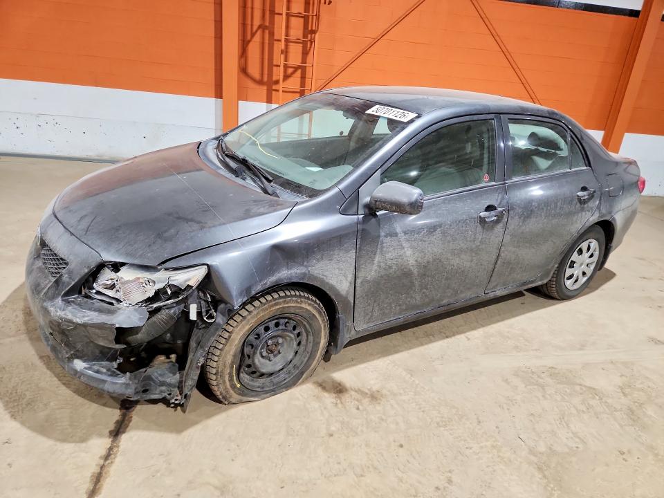 Продажа на аукционе авто 2009 Toyota Corolla, vin: 2T1BU40E79C001505, номер лота: 50701126