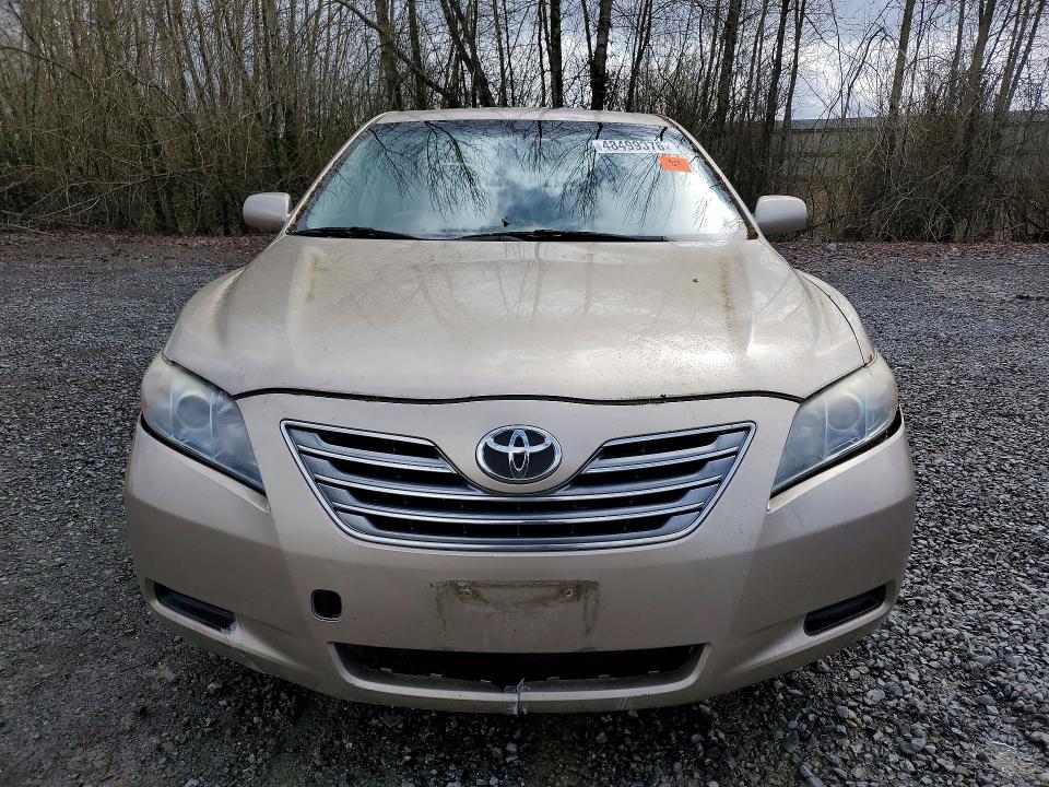 48499376 :رقم المزاد ، JTNBB46K873036591 vin ، 2007 Toyota Camry مزاد بيع
