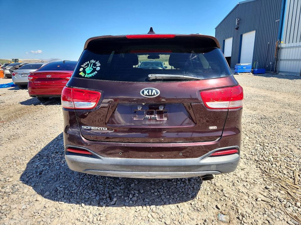 51091416 :رقم المزاد ، 5XYPG4A34GG046784 vin ، 2016 Kia Sorento مزاد بيع