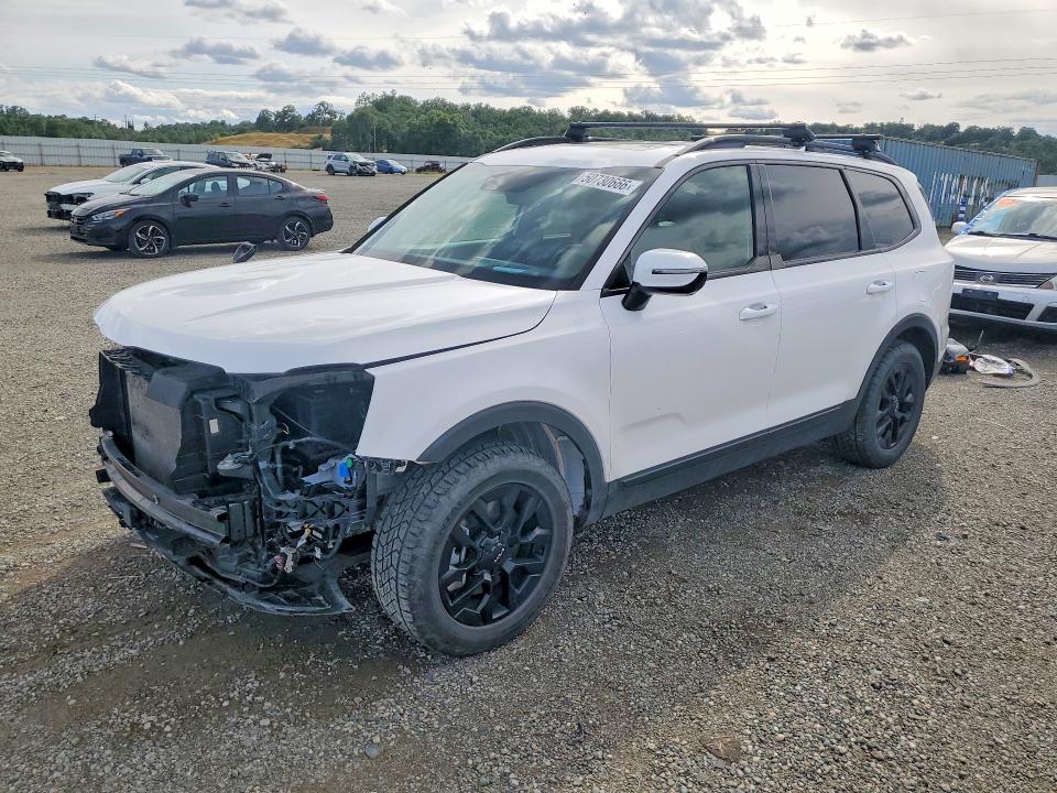 Auction sale of the 2024 Kia Telluride, vin: 5XYP5DGC0RG536137, lot number: 50730666