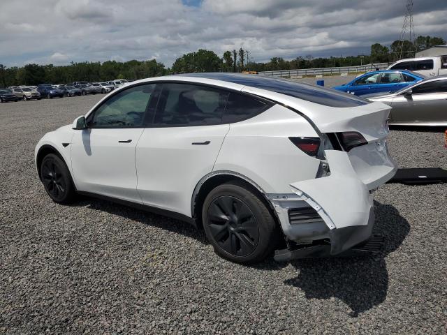 Продажа на аукционе авто 2024 Tesla Model Y, vin: 7SAYGDED5RA333505, номер лота: 49249076