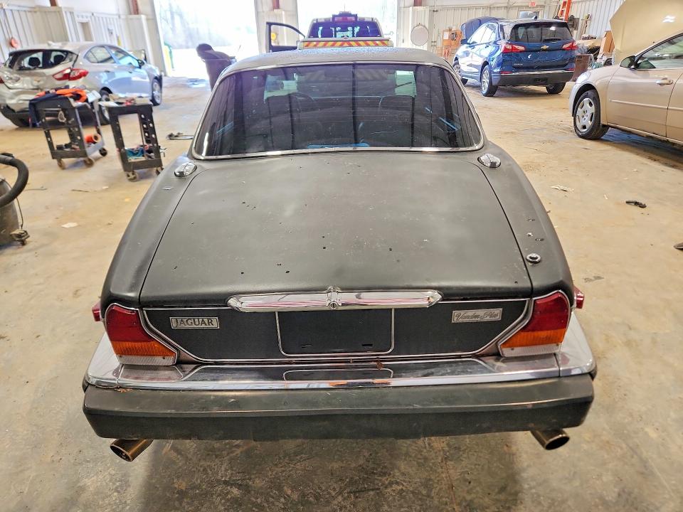 50660006 :رقم المزاد ، SAJAY1343FC397388 vin ، 1985 Jaguar Xj6 مزاد بيع