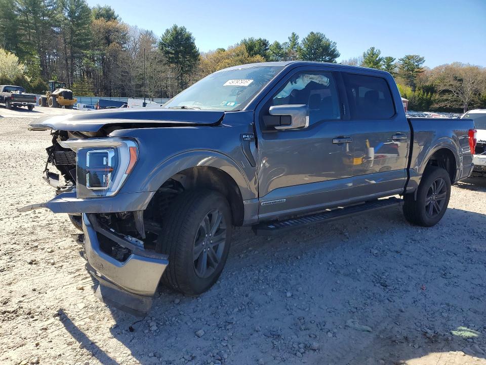 Продаж на аукціоні авто 2023 Ford F150, vin: 1FTFW1ED8PFA94503, номер лоту: 49797946