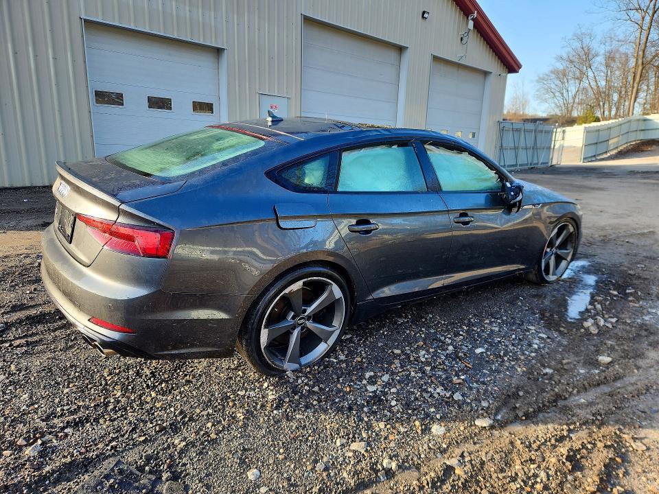 Продаж на аукціоні авто 2019 Audi S5, vin: WAUB4CF53KA017631, номер лоту: 50777546