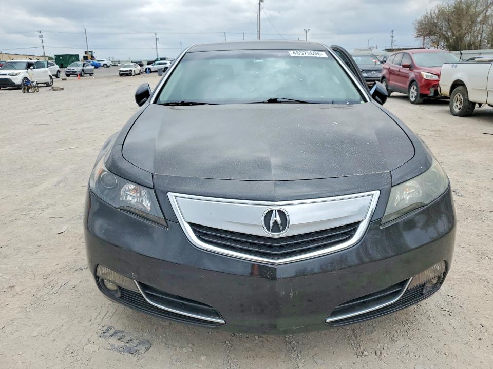 48579696 :رقم المزاد ، 19UUA8F58DA015024 vin ، 2013 Acura Tl مزاد بيع
