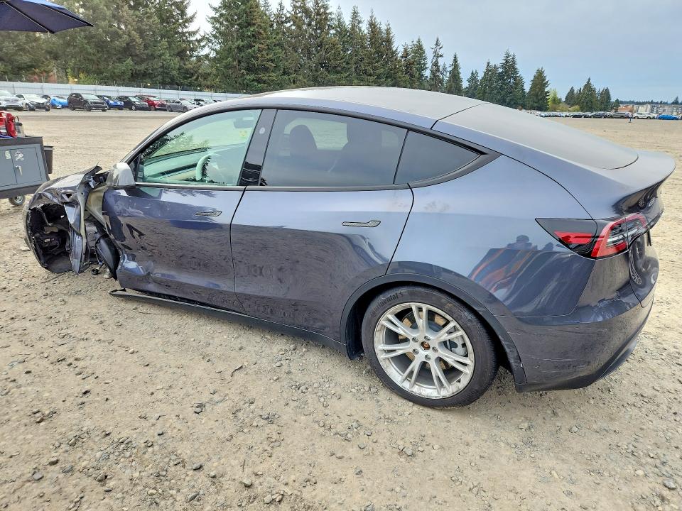 Продаж на аукціоні авто 2023 Tesla Model Y, vin: 7SAYGDEE1PF896740, номер лоту: 50533616