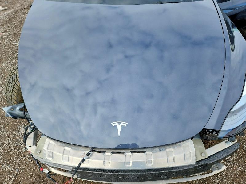 Продаж на аукціоні авто 2025 Tesla Model Y, vin: 7SAYGDED4SF283530, номер лоту: 49887336