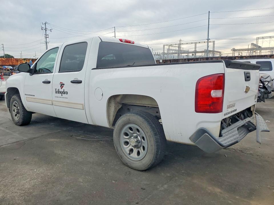 49263446 :رقم المزاد ، 3GCEC13C49G191424 vin ، 2009 Chevrolet Silverado مزاد بيع