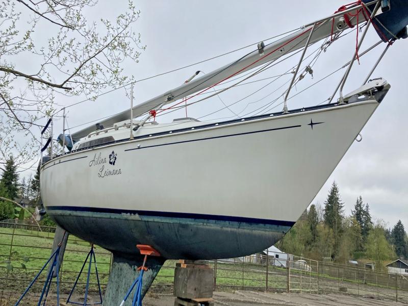 Auction sale of the 1984 Sail Boat Boat, vin: ZCC25693M81L, lot number: 79647485