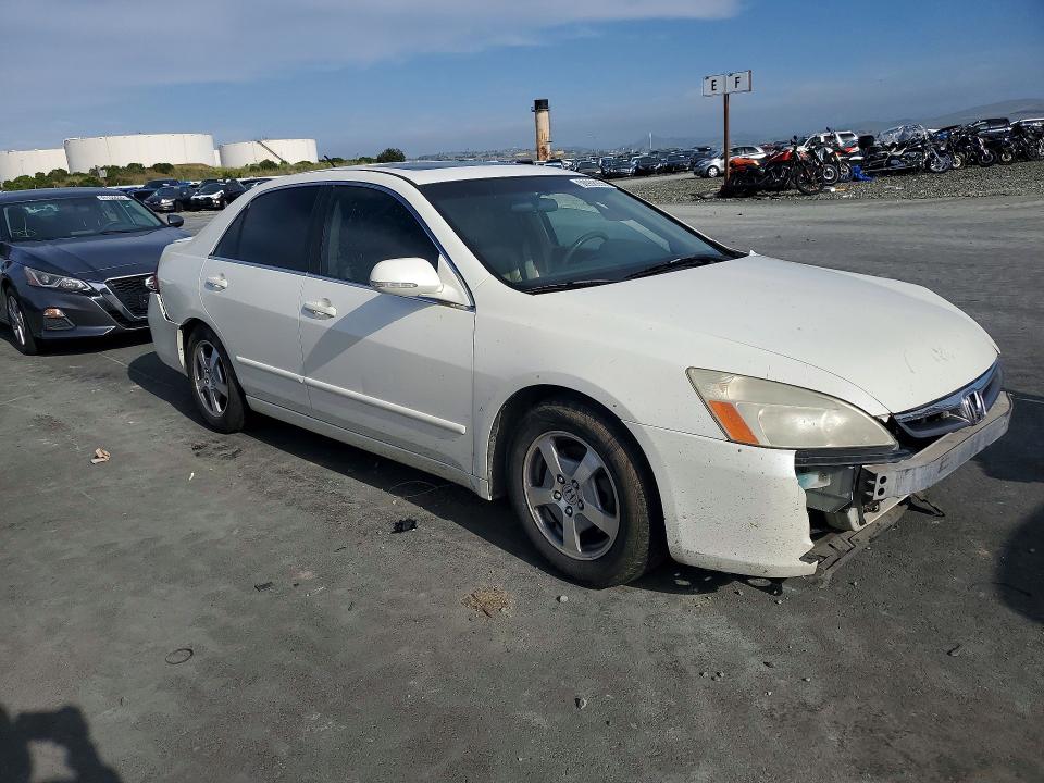 50908936 :رقم المزاد ، JHMCN36516C003904 vin ، 2006 Honda Accord مزاد بيع