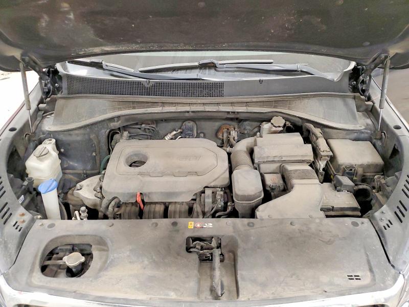 51798166 :رقم المزاد ، 5XYPGDA39KG548523 vin ، 2019 Kia Sorento مزاد بيع