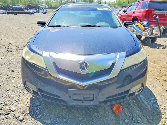 Продаж на аукціоні авто 2009 Acura Tl, vin: 19UUA96549A004101, номер лоту: 48905346