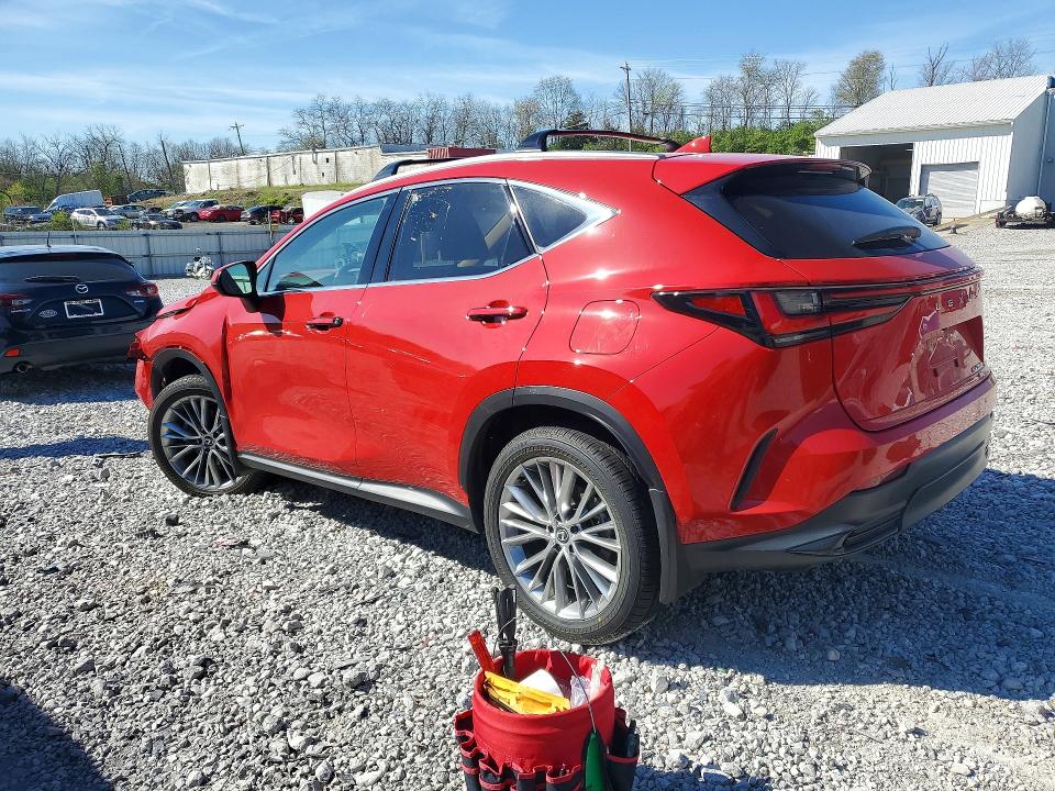 49004846 :رقم المزاد ، 2T2GKCEZ4SC036442 vin ، 2025 Lexus Nx 350h مزاد بيع