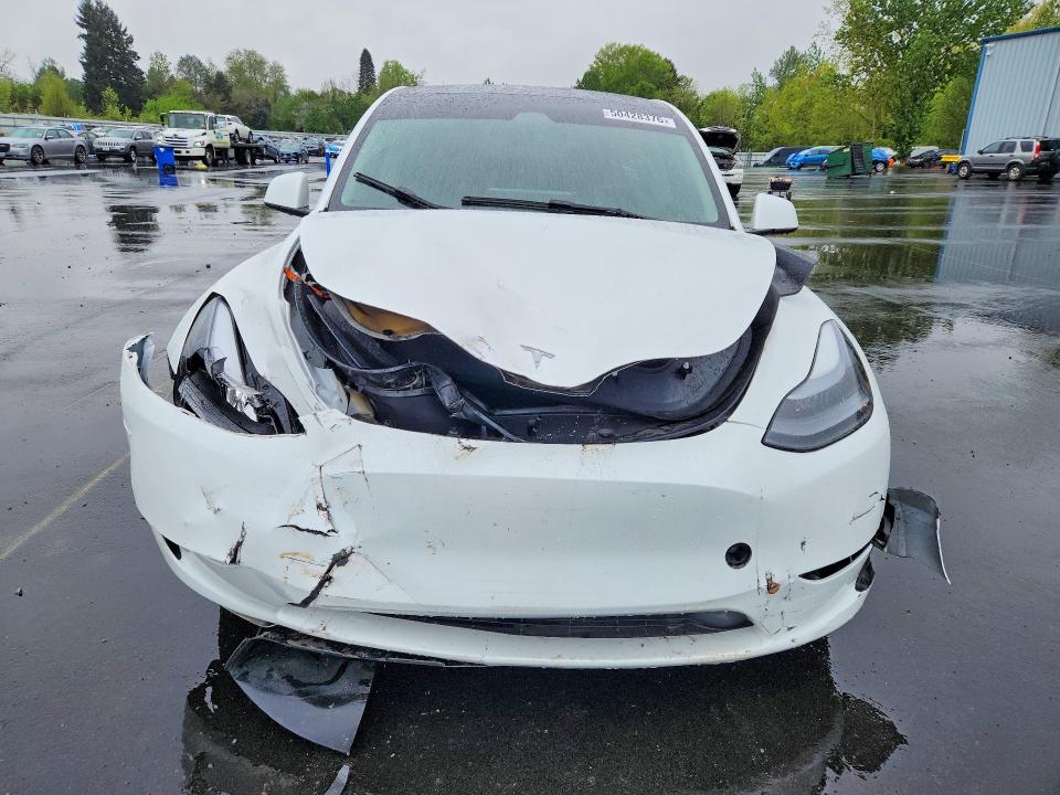 Продажа на аукционе авто 2023 Tesla Model Y, vin: 7SAYGDEEXPF815640, номер лота: 50428376