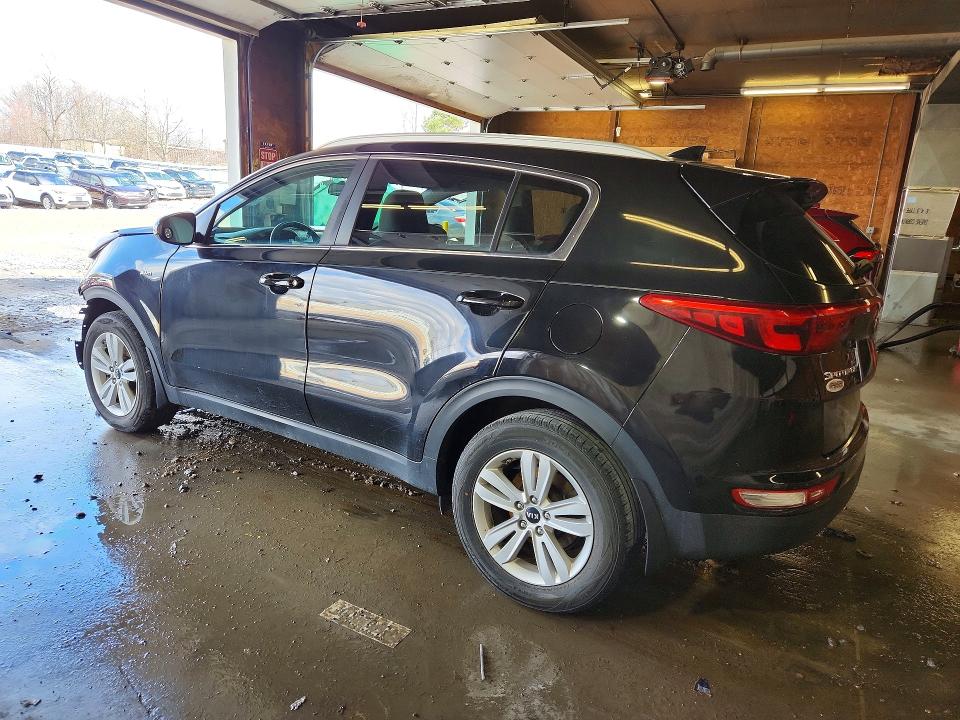 Продаж на аукціоні авто 2017 Kia Sportage, vin: KNDPMCAC7H7188354, номер лоту: 48230356