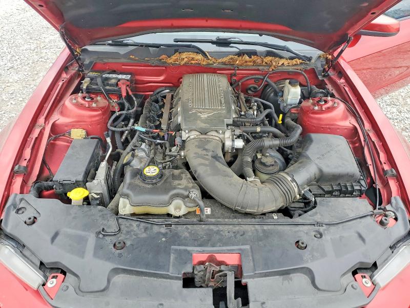 Auction sale of the 2010 Ford Mustang, vin: 1ZVBP8CH5A5135822, lot number: 51601116