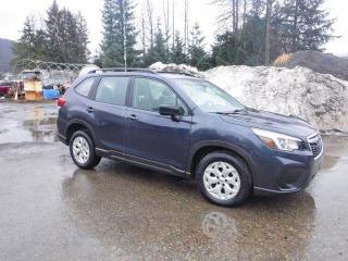 49513336 :رقم المزاد ، JF2SKACC9KH531783 vin ، 2019 Subaru Forester مزاد بيع
