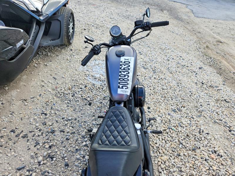 50893636 :رقم المزاد ، 1HD4LE213GC405823 vin ، 2016 Harley-davidson Xl883 مزاد بيع