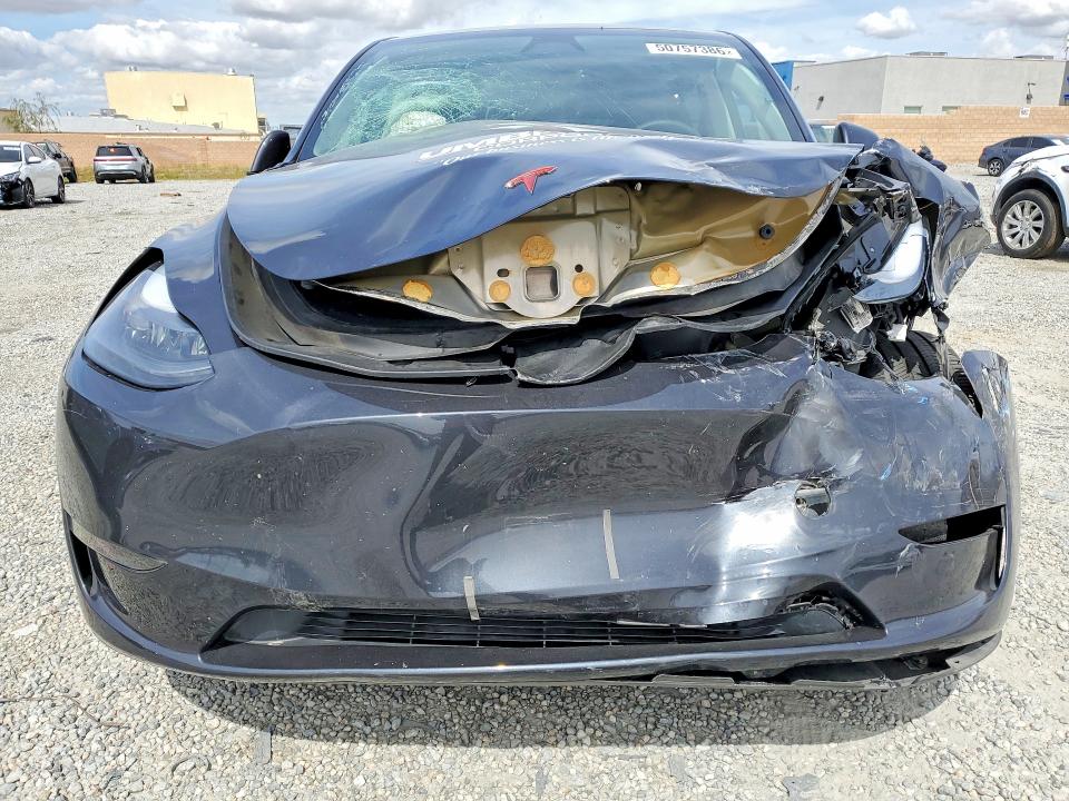 Продаж на аукціоні авто 2024 Tesla Model Y, vin: 7SAYGDED1RF117797, номер лоту: 50757386