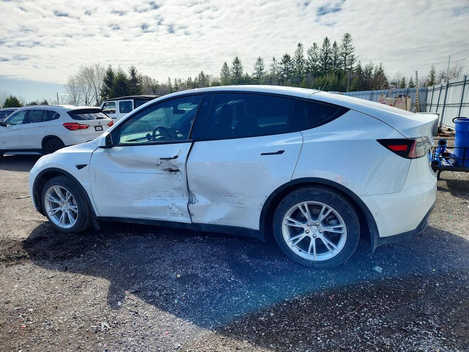 Aukcja sprzedaży 2021 Tesla Model Y, vin: 5YJYGDEE0MF199942, numer aukcji: 50263726