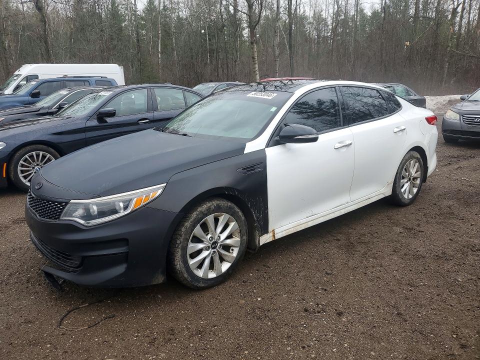 Продажа на аукционе авто 2016 Kia Optima, vin: 5XXGU4L31GG062676, номер лота: 50253046