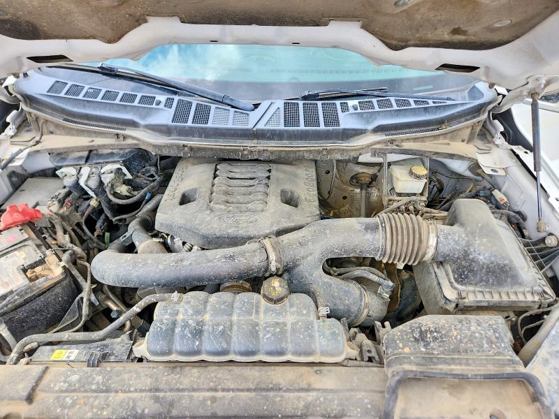Продаж на аукціоні авто 2021 Ford F150, vin: 1FTFW1E80MFA66368, номер лоту: 49651906