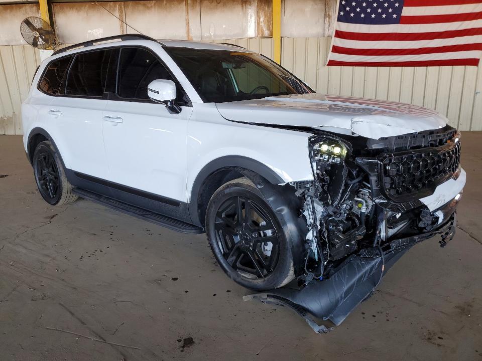 Aukcja sprzedaży 2025 Kia Telluride, vin: 5XYP5DGC7SG713448, numer aukcji: 51209716