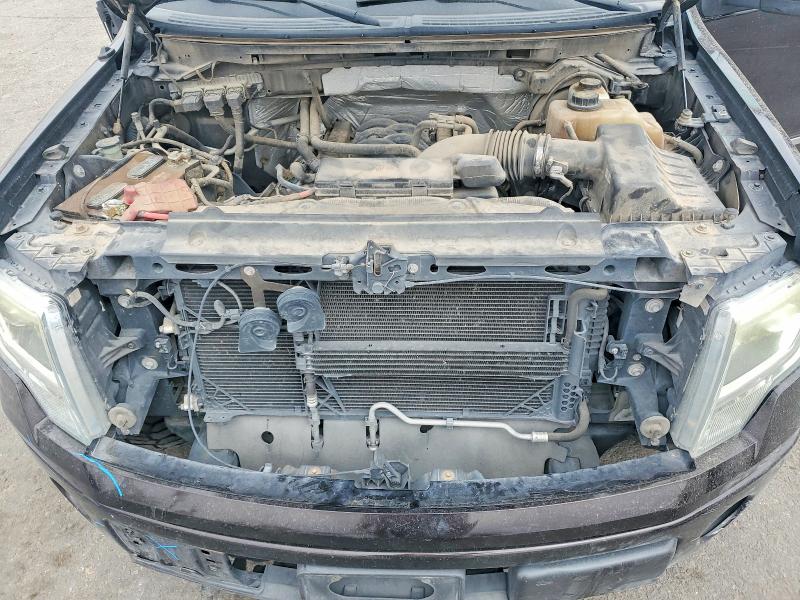 48793246 :رقم المزاد ، 1FTFW1EF7DFB63260 vin ، 2013 Ford F150 مزاد بيع