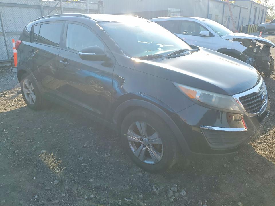 Продаж на аукціоні авто 2011 Kia Sportage, vin: KNDPB3A26B7041902, номер лоту: 50774696
