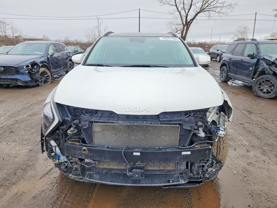 Продаж на аукціоні авто 2024 Kia Sportage, vin: KNDPVCDFXR7260006, номер лоту: 49641166