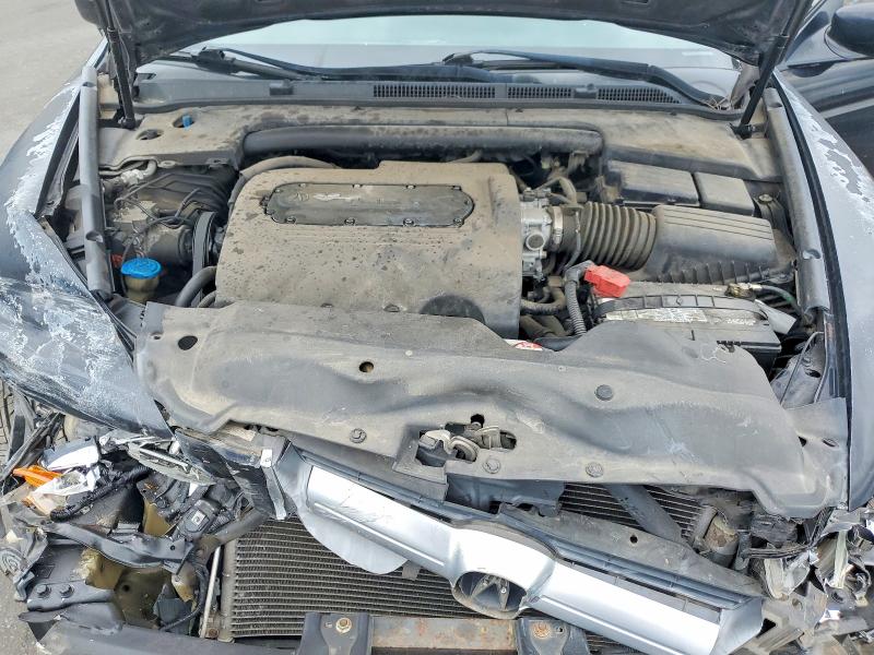 51533436 :رقم المزاد ، 19UUA66215A075884 vin ، 2005 Acura Tl مزاد بيع