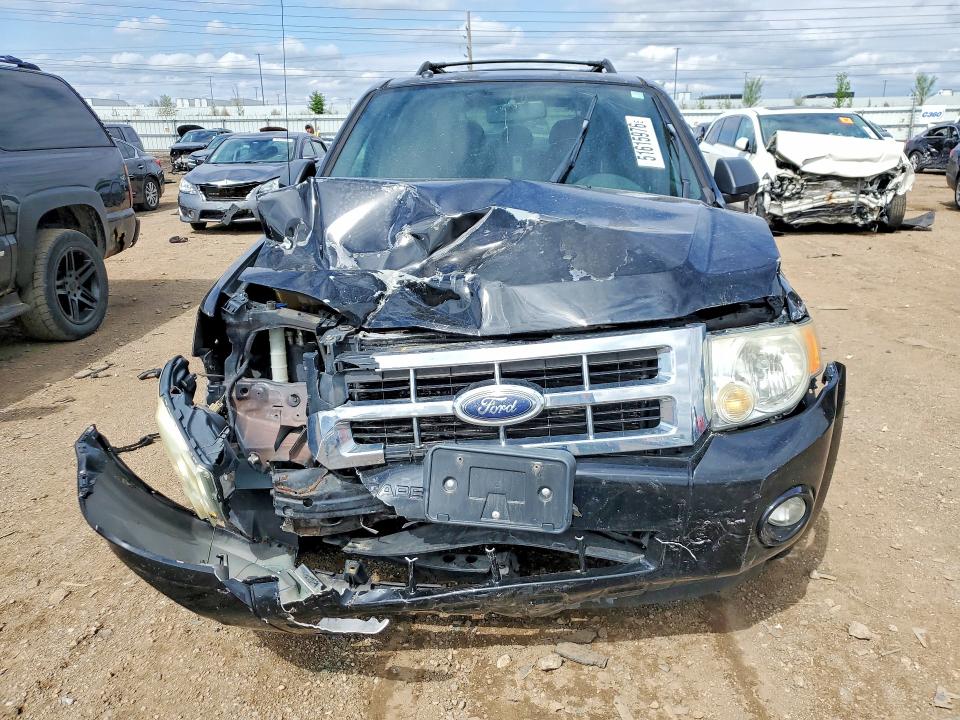51615976 :رقم المزاد ، 1FMCU03158KC81598 vin ، 2008 Ford Escape مزاد بيع
