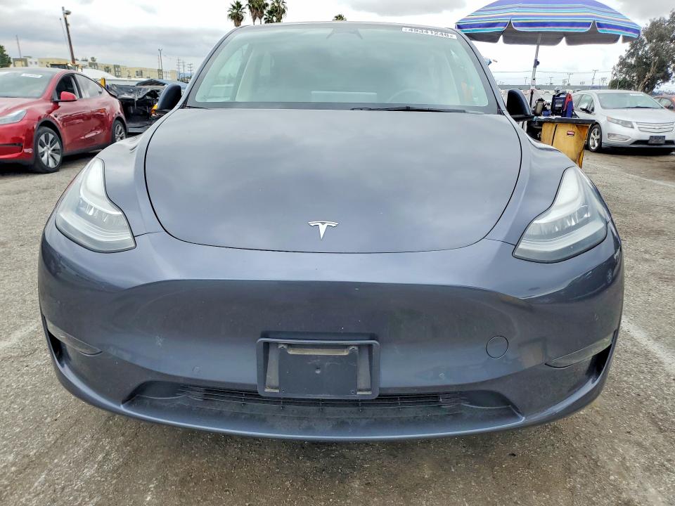 Продаж на аукціоні авто 2022 Tesla Model Y, vin: 7SAYGDEE8NF508156, номер лоту: 49341246