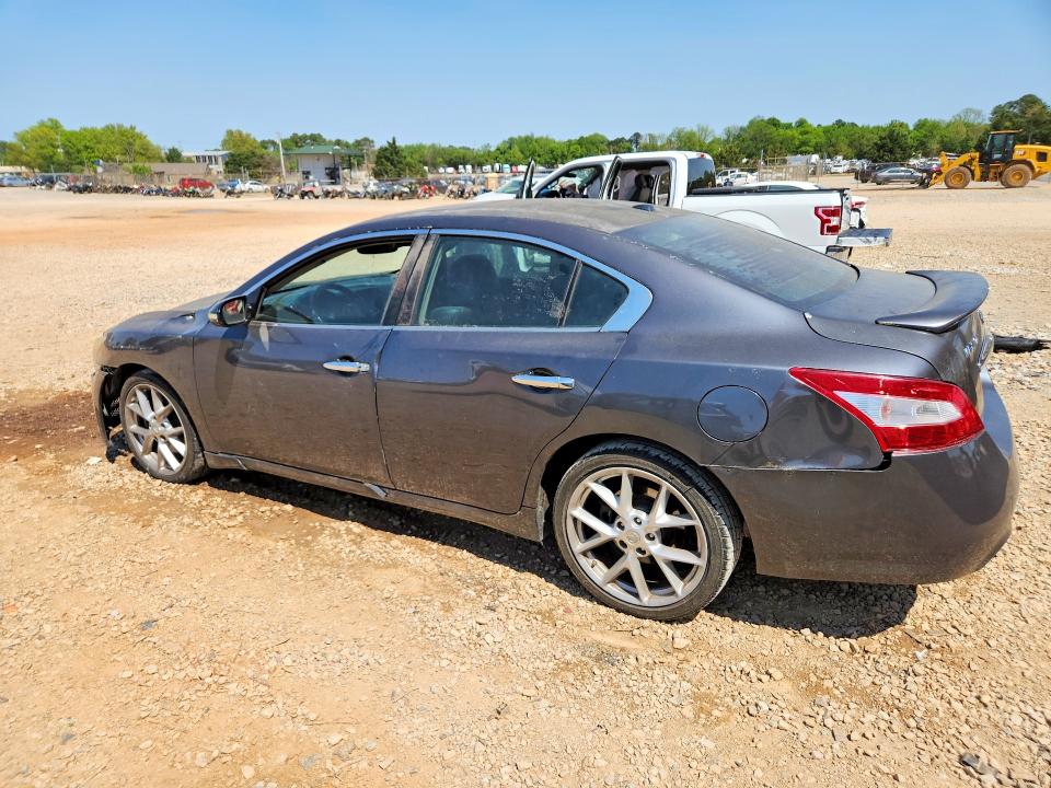 49144606 :رقم المزاد ، 1N4AA5AP8AC824229 vin ، 2010 Nissan Maxima مزاد بيع