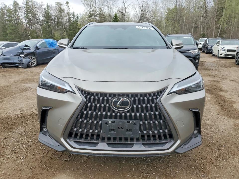 Продаж на аукціоні авто 2024 Lexus Nx 350h, vin: 2T2GKCEZ7RC027695, номер лоту: 51724086