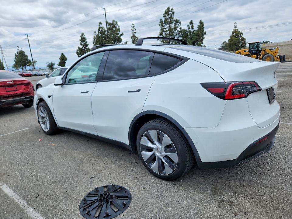 51377256 :رقم المزاد ، 5YJYGDEE2MF081679 vin ، 2021 Tesla Model Y مزاد بيع