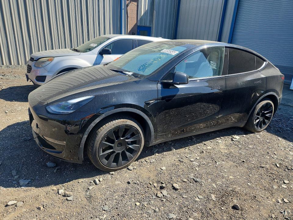 49056546 :رقم المزاد ، 5YJYGDED8MF132724 vin ، 2021 Tesla Model Y مزاد بيع