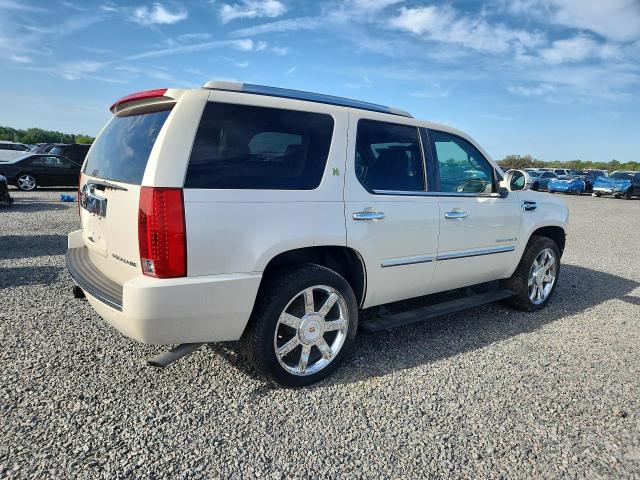 Продажа на аукционе авто 2009 Cadillac Escalade, vin: 1GYFC43509R273605, номер лота: 49826236