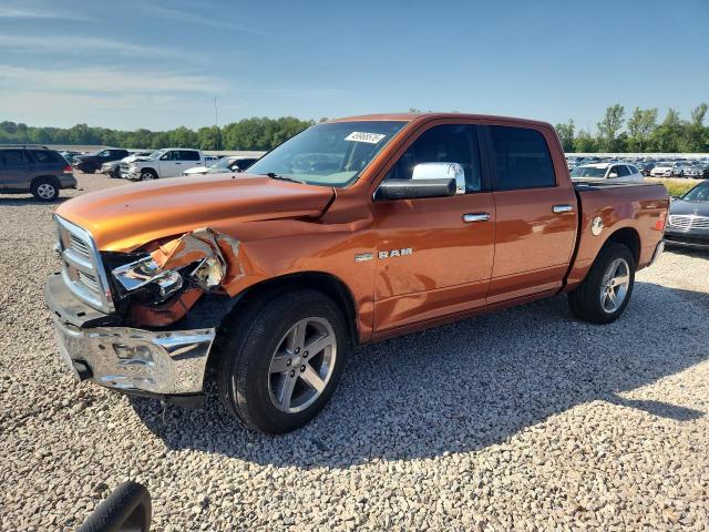 Продаж на аукціоні авто 2010 Dodge Ram 1500, vin: 1D7RB1CT1AS166360, номер лоту: 49968576